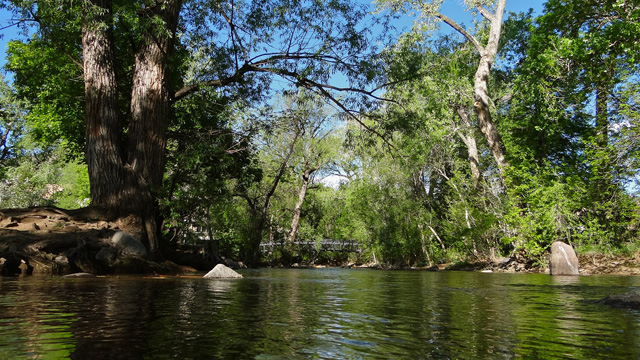 Improving Recycling in Boulder