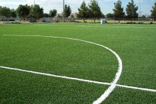 Some good looking turf that happens to be artificial. 