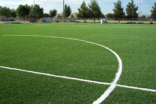 Some good looking turf that happens to be artificial. 