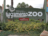 Sacramento Zoo 
