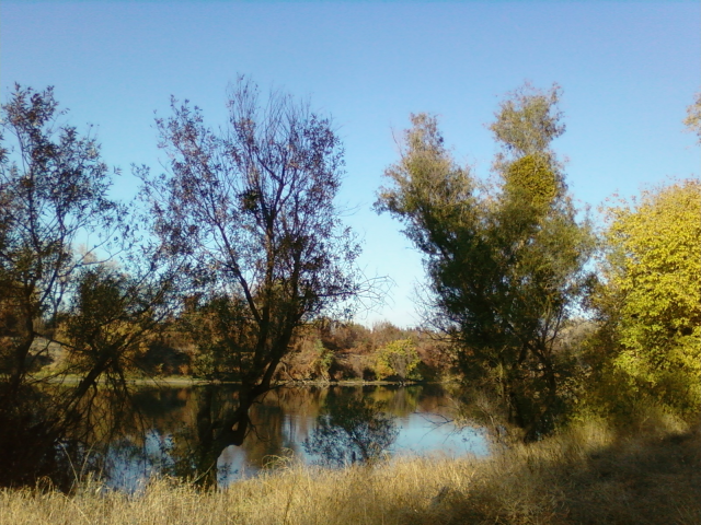 American River Parkway - a wilderness area in the middle of the City