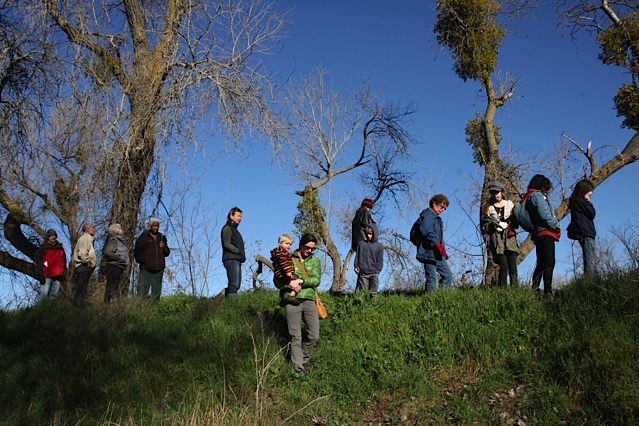 A recent Friends of the River Banks event learned about mushrooms along the American River @ Sutter's Landing Park. Second Sat. each month.