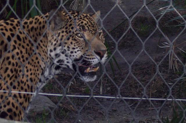 Sacramento Zoo