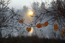 Peaceful morning