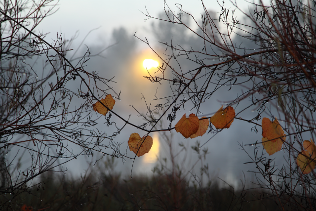 Peaceful morning