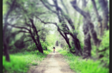 American River bike trail near Discovery Park