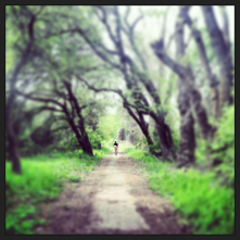 American River bike trail near Discovery Park