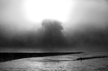 Mist