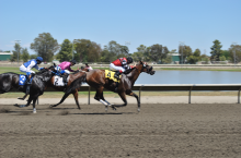 i envision seeing a new Sacramento racetrack and fair grounds here in Sacramento built on city land instead of donate state Land 