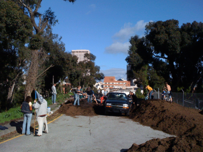 Use marginalized spaces in the city for public gardens