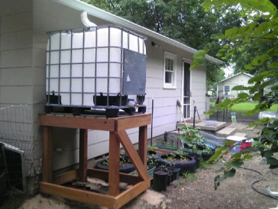 Rain Water Harvesting