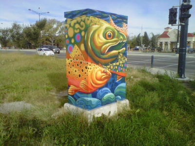 Utility Box Art Projects