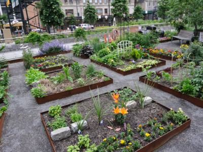 Downtown Community Garden