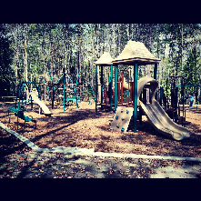 Pineywood Park is large in size with an adult soccer field, tennis courts, softball field, dog park and a new playground structure