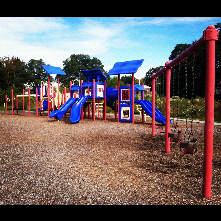 Long Meadow Park hosts a large playground structure, 2 youth baseball fields, multiple basketball courts and an outdoor pool