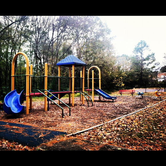 Elmira is host to multiple tennis courts, picninc shelter, tot lot playground and newly renovated basketball courts