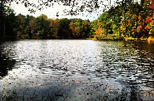 Twin Lakes is a great spot to do a little fishing on a sunny day
