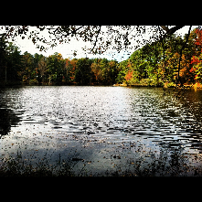 Twin Lakes is a great spot to do a little fishing on a sunny day