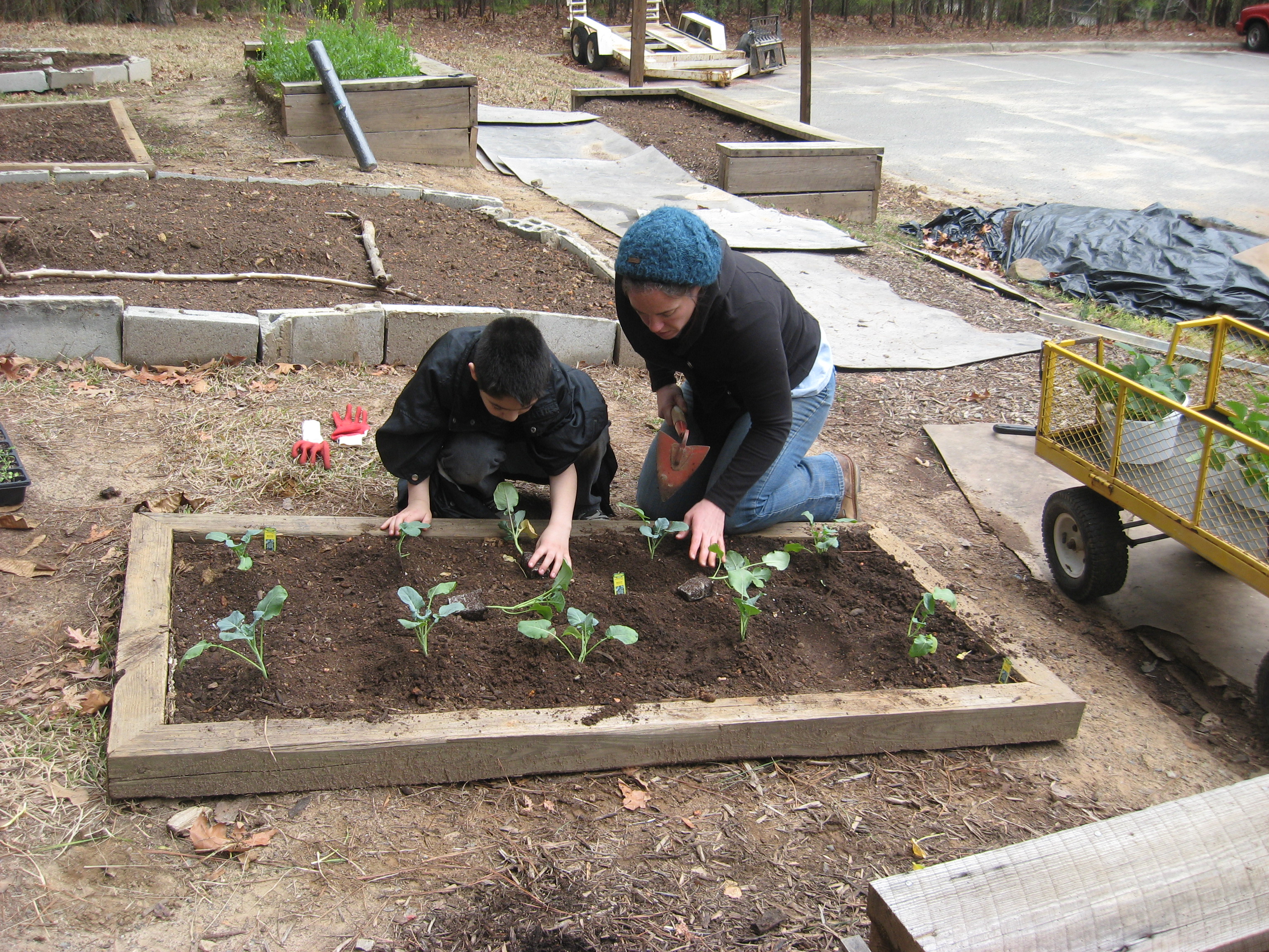 Volunteering in the Parks