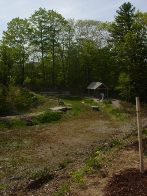 Skating Pond at Leon Gorman Park