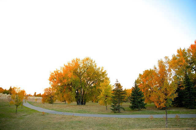 Fall on the Greenway.