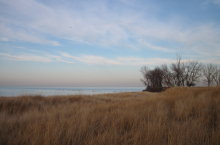 South Shore Nature Sanctuary: a nice little beach and habitat restoration project.
