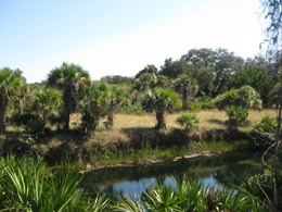 Protecting Conservation Lands