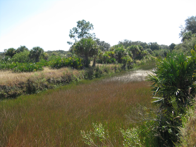 Persimmon Ridge Preserve