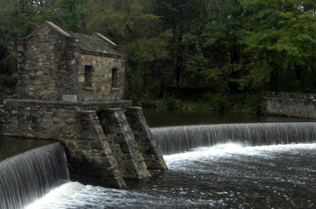 Weekend Activities for Morristown Residents