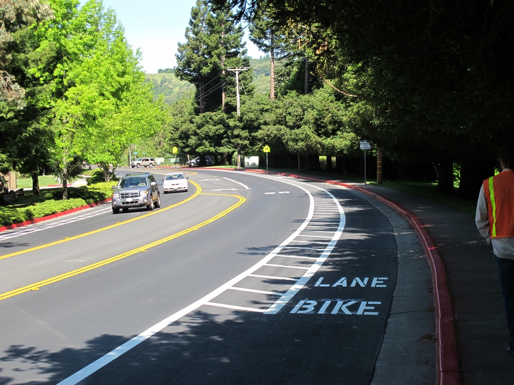 Bicycling Preferences