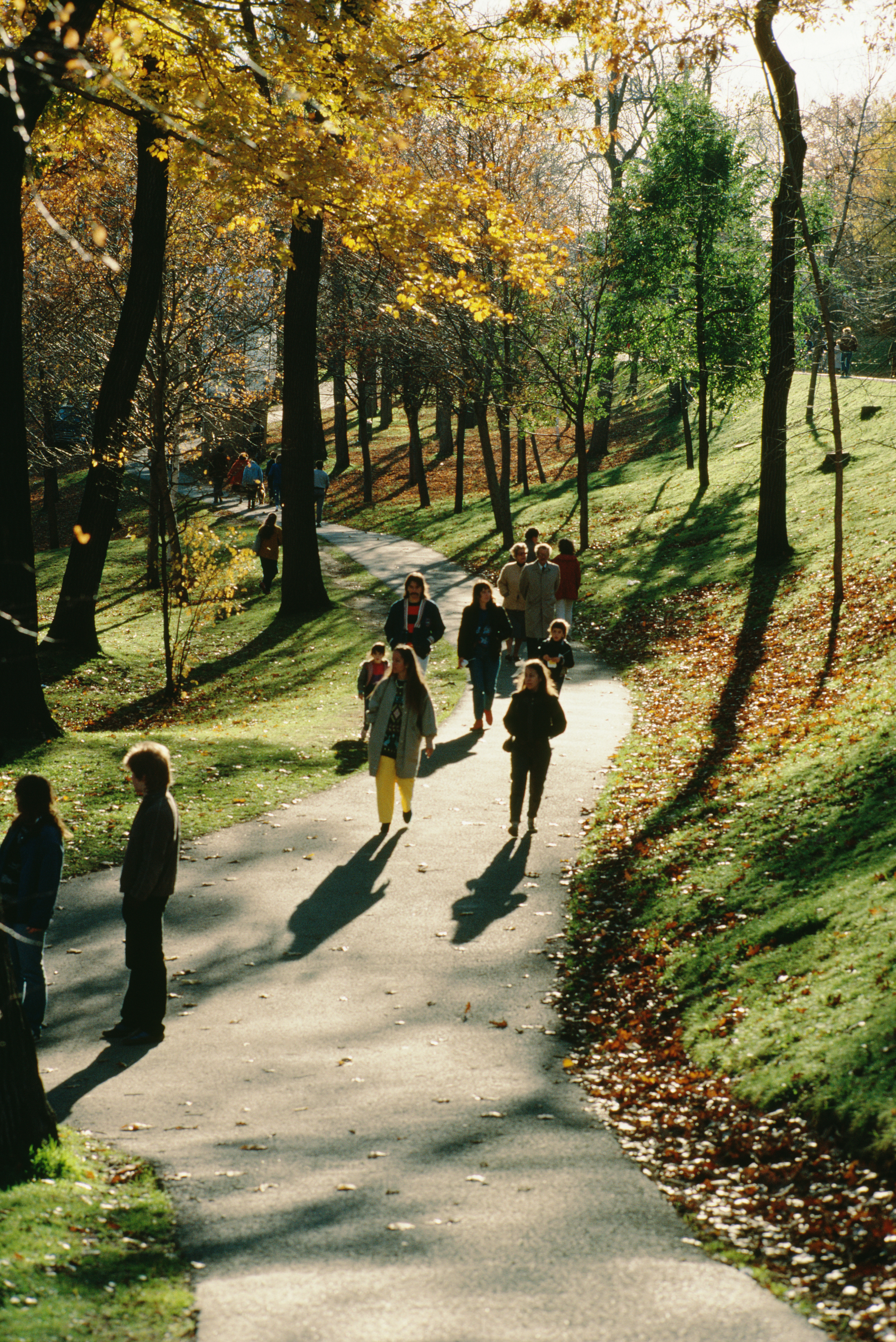 Tell us where to create new greenways and trails