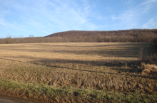 A big, open sky.  A place where it is possible to farm and where people are reminded of their connection to the land and agriculture.