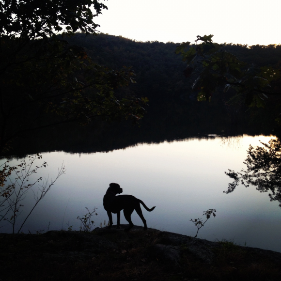Chloe at the Beacon reservoir