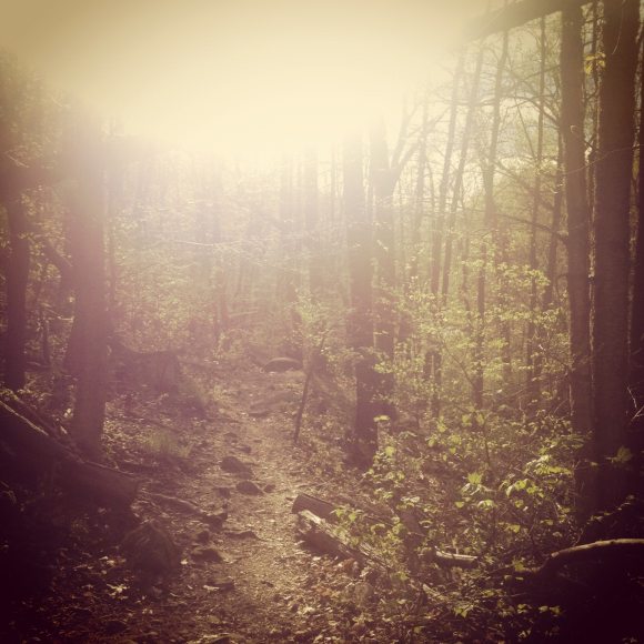 Pocket Road trail in Beacon