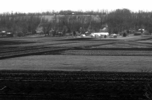 This photo shows the Black Dirt farms of Pine Island.