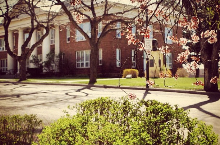 Spring semester at Northern Arizona University (main campus) in full bloom.