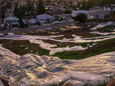 Turn a blighted hillside into a dog park