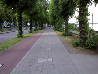 Separate Bicycle Lanes in Parks