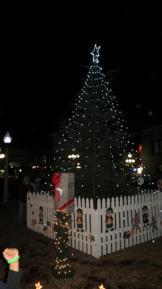 12-6-12 Our new Christmas tree, Monrovia Library Park. Donated by The Home Depot (original tree was blown down in the wind storm of 2011.)