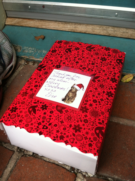 On our doorstep, our neighbors daughter filled this box with homemade baked goods and wrapped it with gratitude. I love "coming home!"
