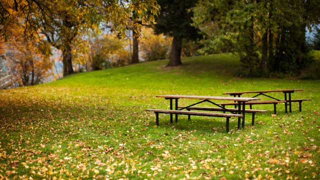 Tell us how you use the Parks and Recreation System