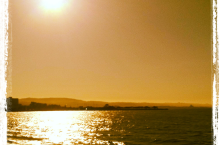 Coyote Point Park Shore View