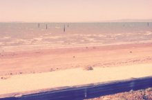 Coyote Point Shore