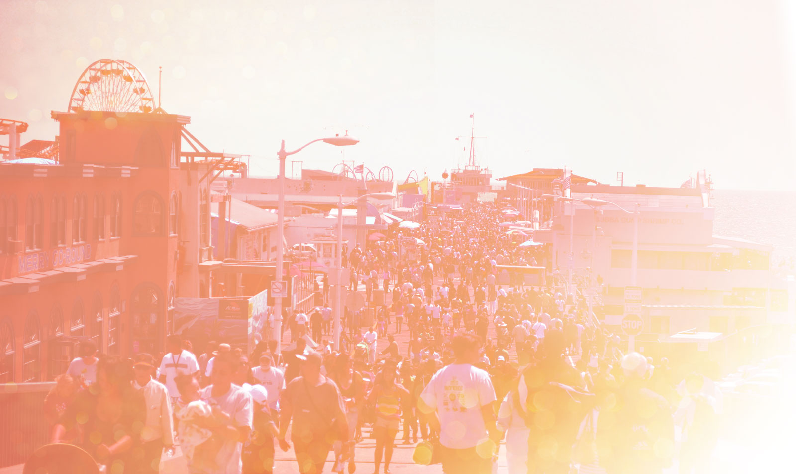 Santa Monica Pier Visitor Survey