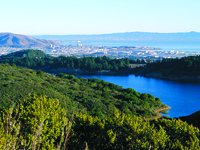 Guided Hiking Tour of the Fifield-Cahill Ridge Trail 