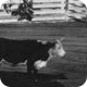 What historical places in Los Angeles tell us about agriculture?